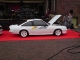 Manta Herten 1
