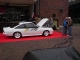 Manta Herten 2