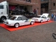 Manta Herten 6